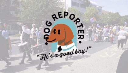 dog-reporter-featured-wr